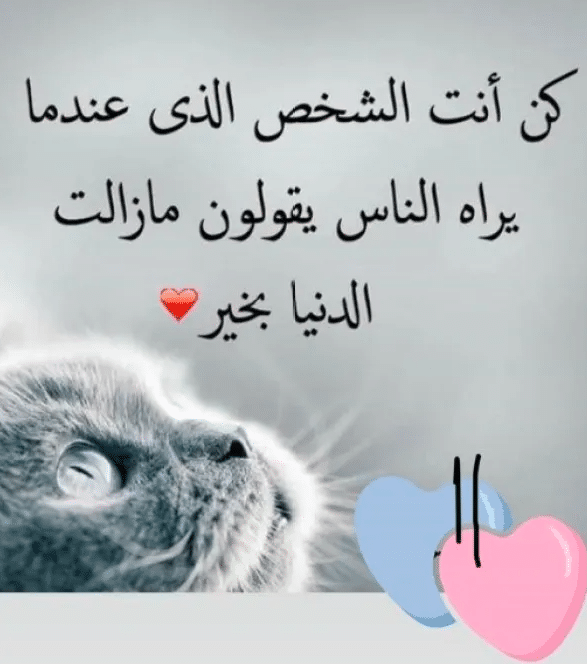عبارات عن ناس لطيفه