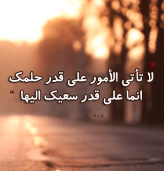 حكم عن السعي