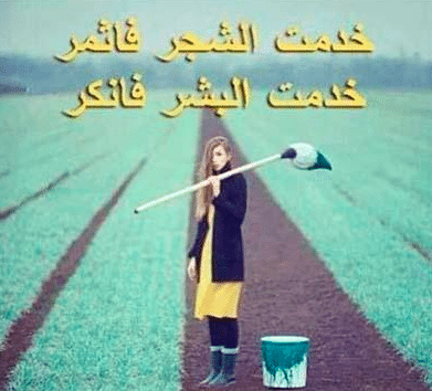 كلمات وصور عن ناكر الجميل 2
