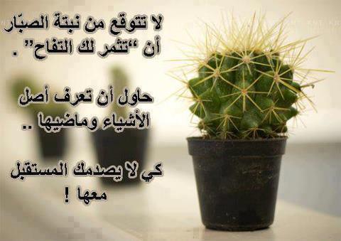 عبارات عن النباتات تويتر 3