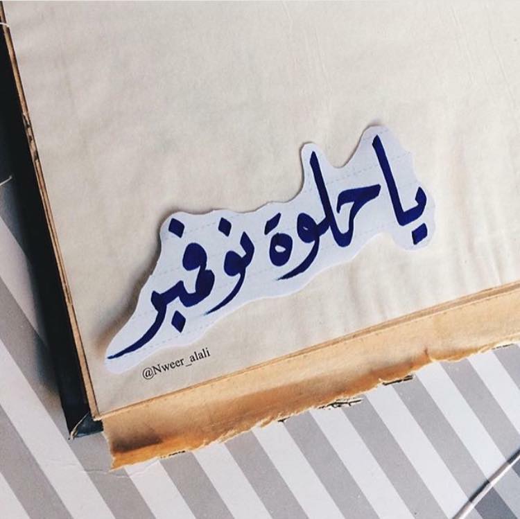 جميلة نوفمبر