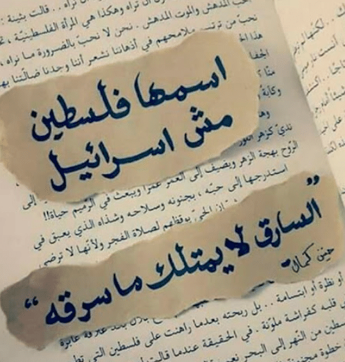 تعبير عن حب فلسطين