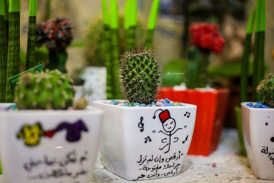 عبارات عن النباتات تويتر 4