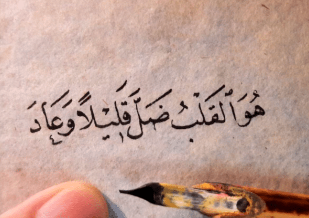 خواطر عن القلوب
