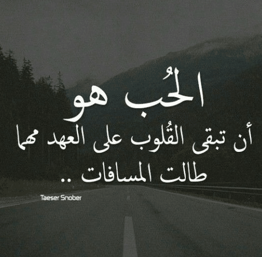 كلام جميل عن الحب