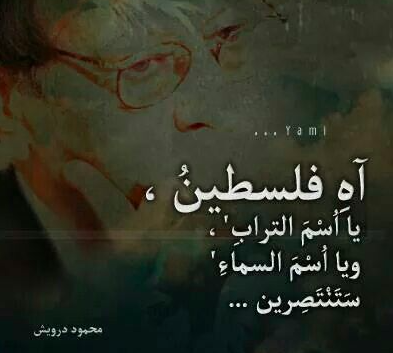 عبارات عن فلسطين محمود درويش