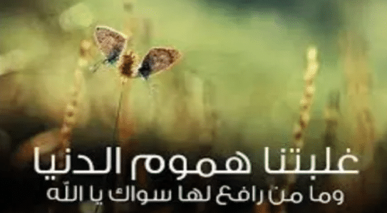 كلام عن الهموم الدنيا 