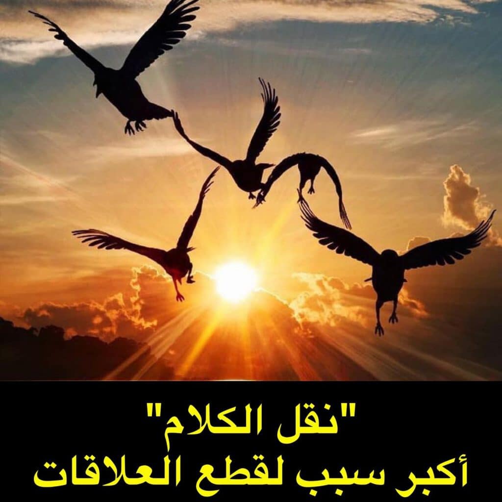 أمثال شعبية عن نقل الكلام