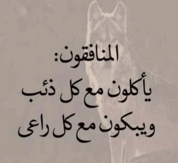كلام عن الناس المنافقة