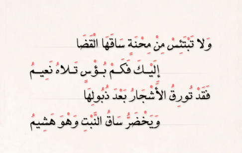 قصيدة ساق
