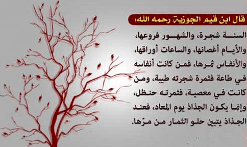 عبارات عن الشجرة