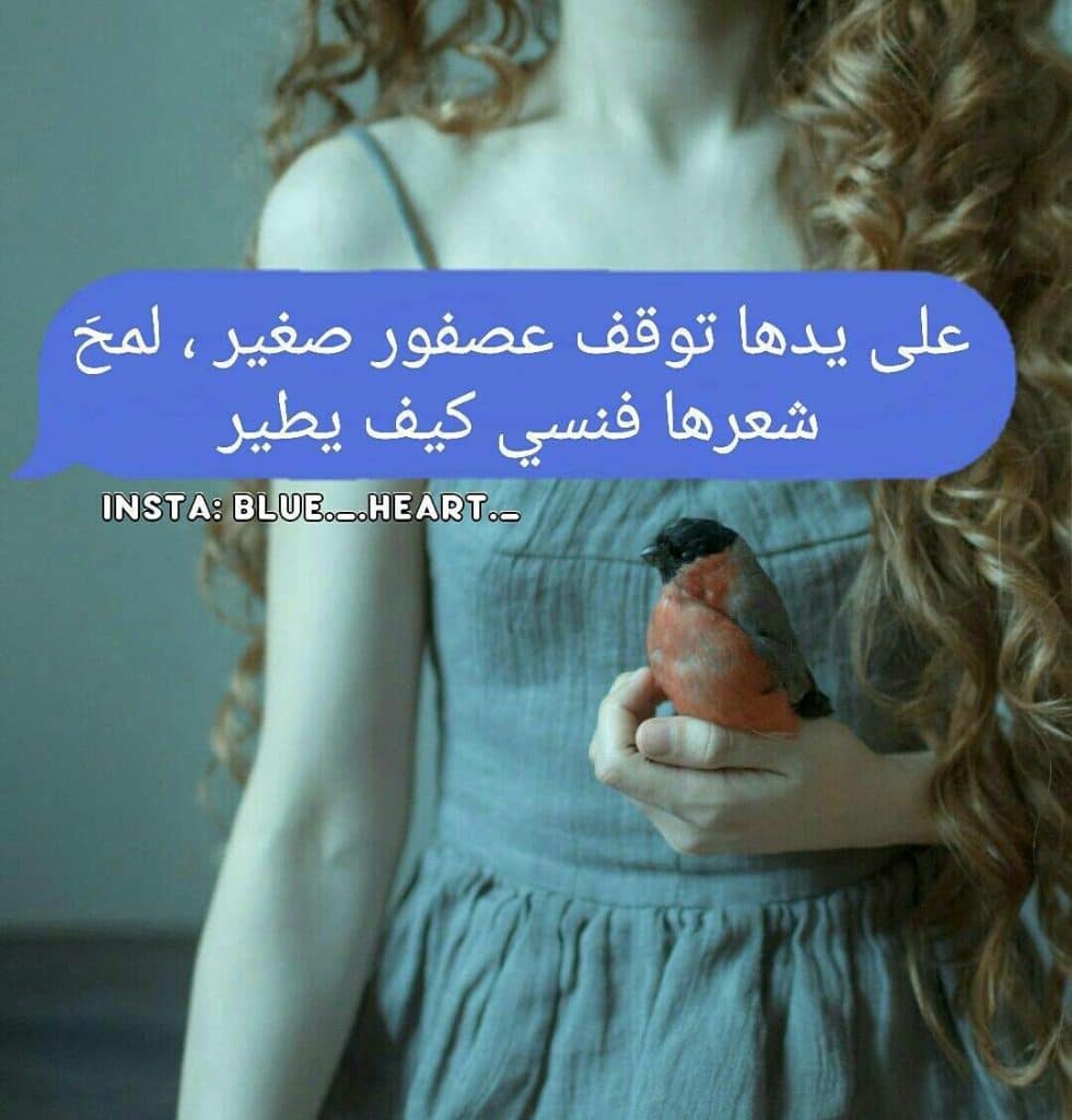 شعر عصفور الحب