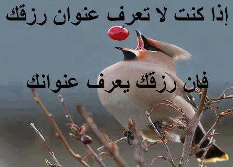 كلمات صباحية عن الرزق
