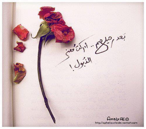 عبارات عن ذبول الورد تويتر ١