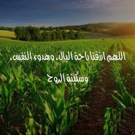 خلفيات عن الراحة النفسية ٦