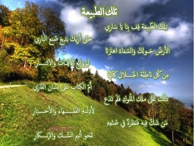 عبارات عن الطبيعة