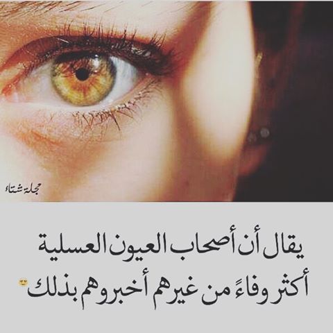 عبارات عن العيون العسلية في الشمس