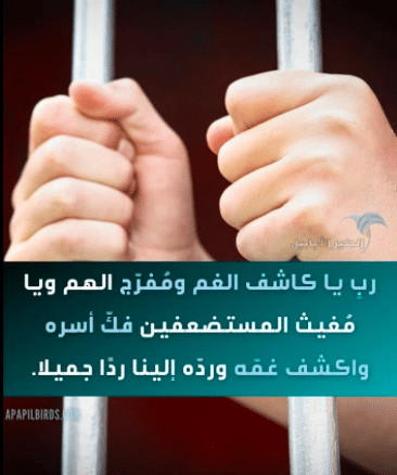 عبارات عن السجين