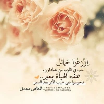 الأثر الطيب عبارات عن ترك الأثر تويتر 5