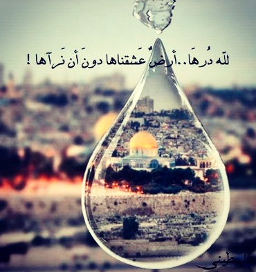 كلمات عن فلسطين حزينة