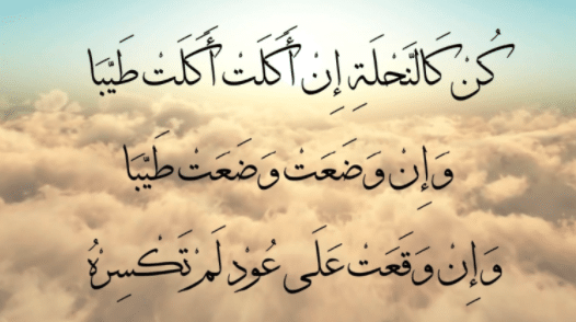 اجمل عبارات طلب المساعدة العينية