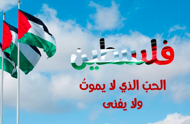 عبارات عن فلسطين قصيرة