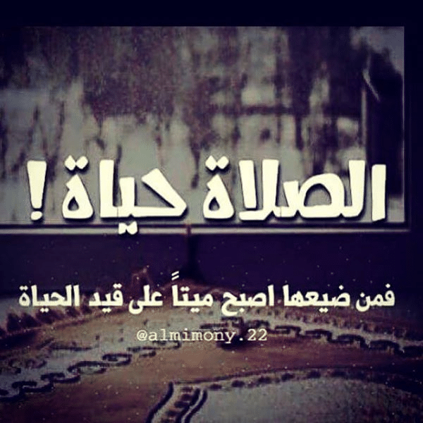 عبارات عن الصلاة نور تويتر 4