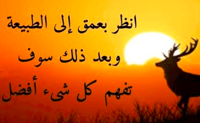 عبارات عن الطبيعة