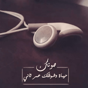 كلام عن صوت الحبيب