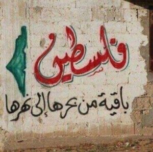 عبارات عن فلسطين