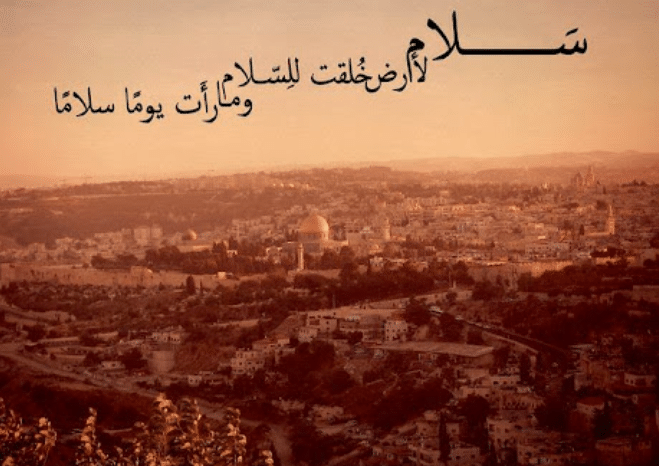 حكم عن فلسطين