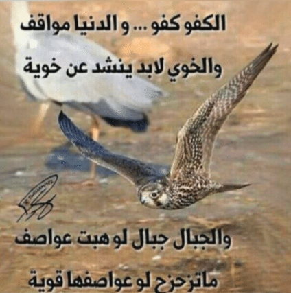 كلمة حق في رجل عظيم