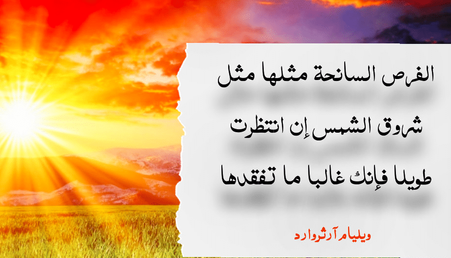 استغلال الفرص