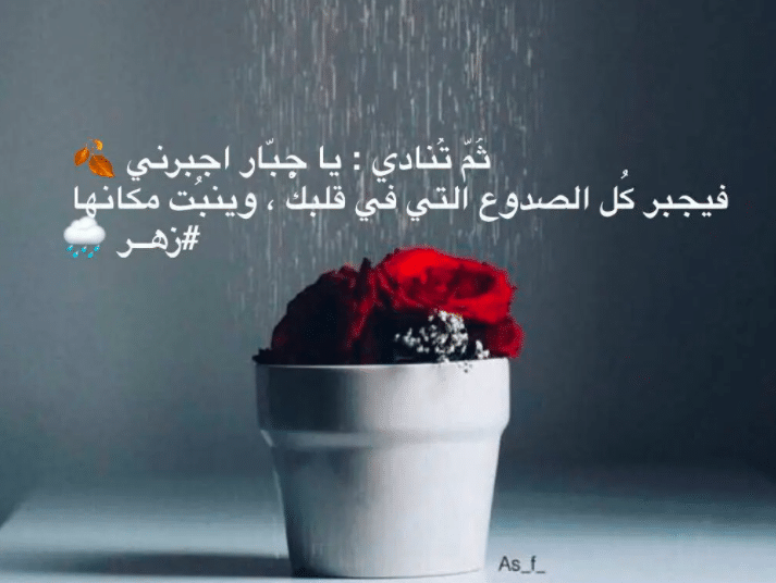 عبارات عن النباتات تويتر 5