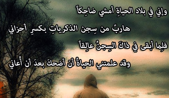 شعر عن طريق الحياة