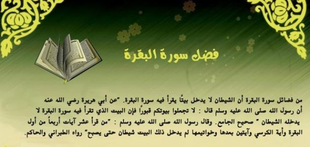 عبارات عن سورة البقرة ١