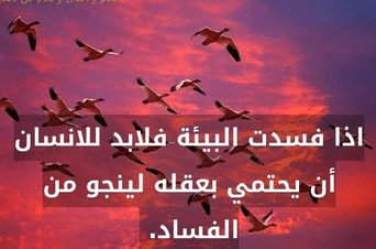 عبارات عن النظافة
