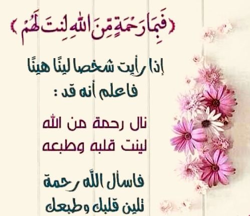 ايه من القرآن عن الرفق بالحيوان