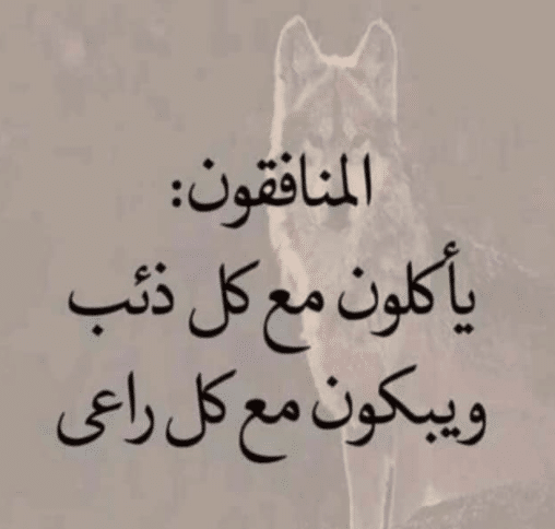 عبارات عن الناس المنافقة
