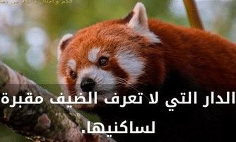 عبارات تقال بعد الأكل