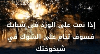 أقوال وحكم عن الشباب والشيخوخة
