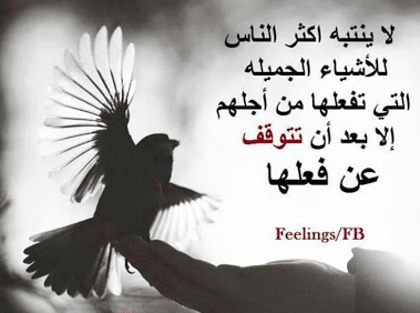كلام عن واقع الناس