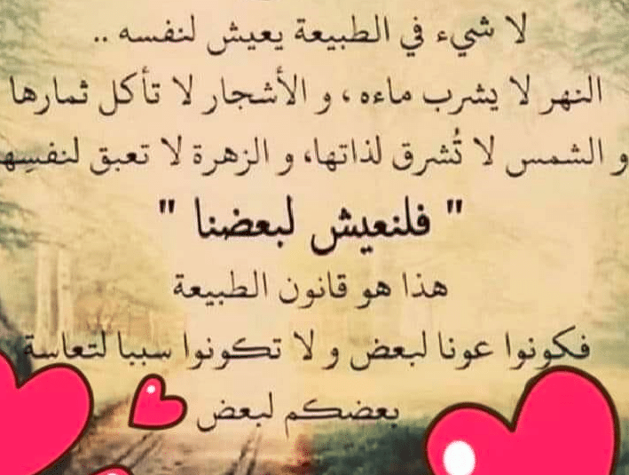 قريتي ومسقط رأسي