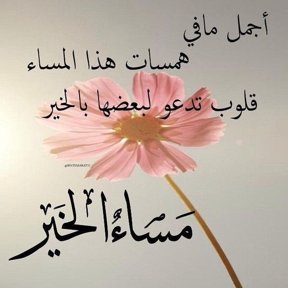 عبارات عن المساء