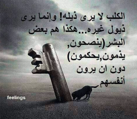 كلام حزين عن الواقع
