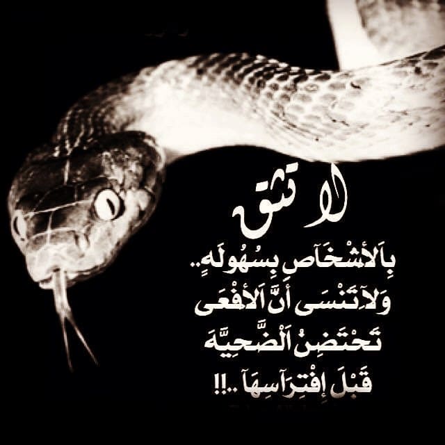 عبارات كره وحقد 