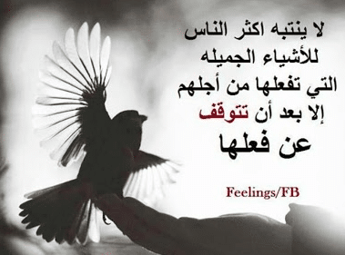 كلام عن واقع الناس