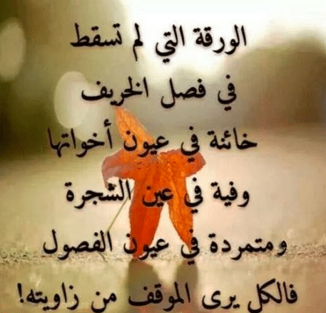 قصيدة عن فصل الخريف 