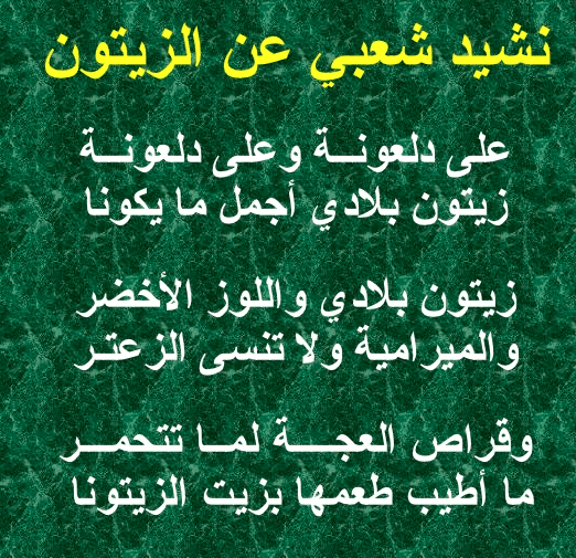 عبارات عن الزيتون