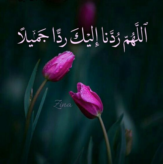 اللهم ردنا إليك ردا جميلا